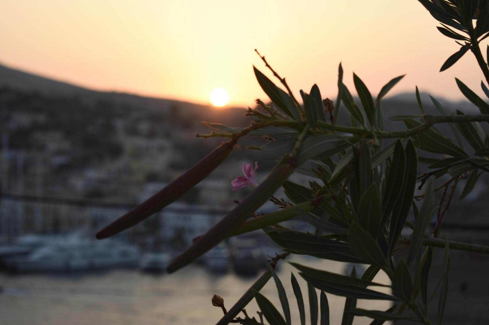 Marea Studios Symi Exteriör bild